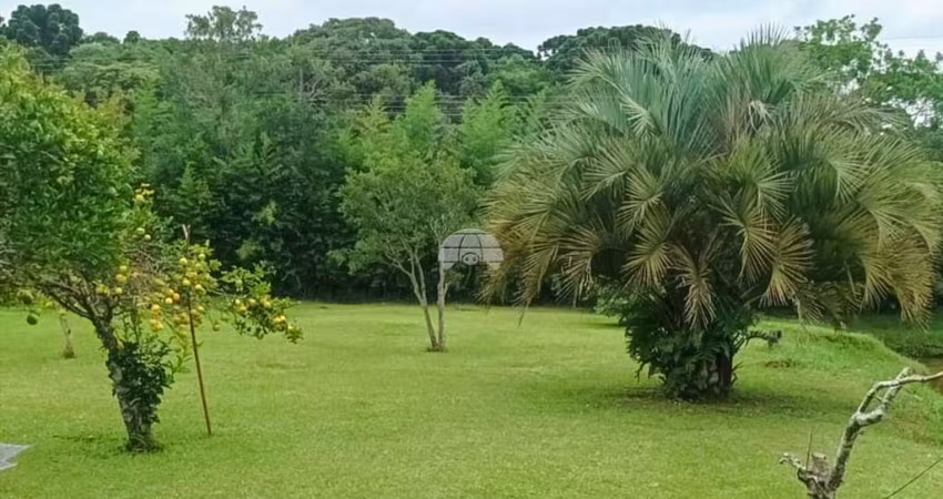 Chácara / sítio à venda na RUA ALBERTO DYBAS, 333, Jardim Keli Cristina, Campo Largo