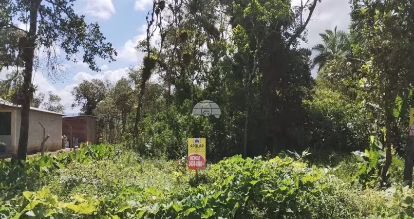 Terreno à venda na RUA JOINVILLE, 300, Palmital, Garuva
