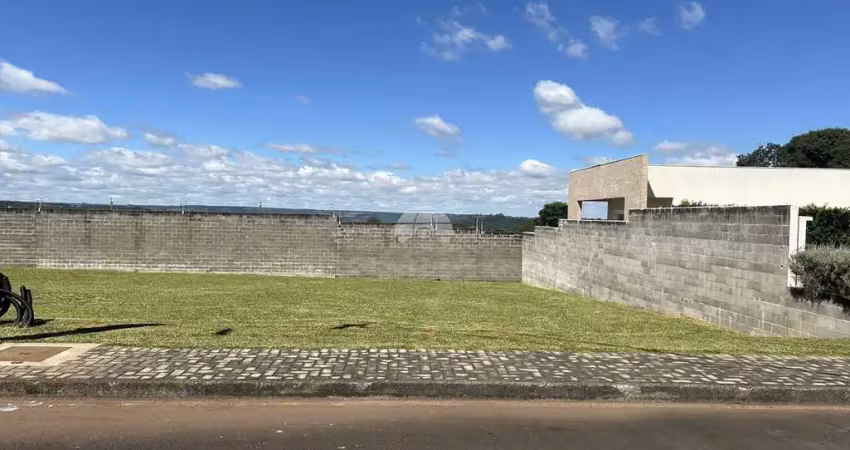 Terreno em condomínio fechado à venda na Avenida Prefeito Moacir Júlio Silvestri, 5479, Jardim das Américas, Guarapuava