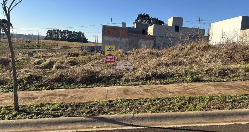 Terreno à venda na RUA JOSE FARIA BATISTA, 46, Industrial, Guarapuava