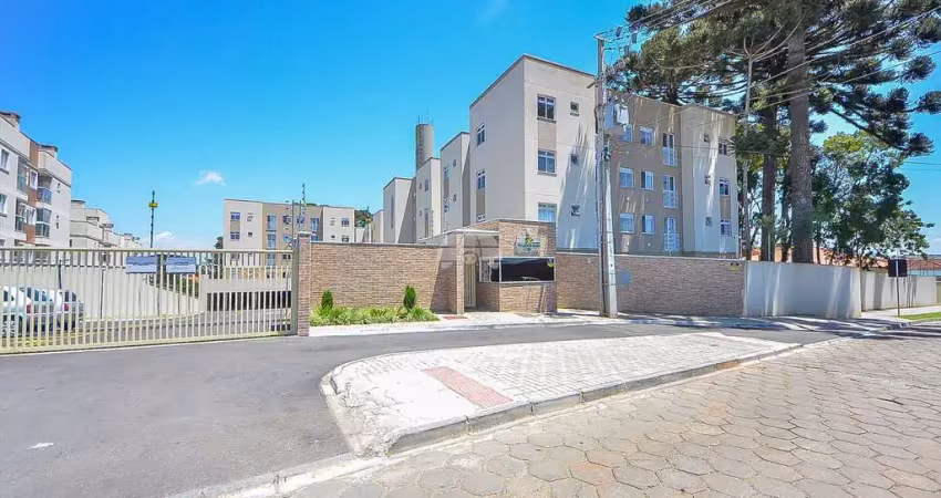 Apartamento com 2 quartos à venda na Rua Virgínio Palu, 64, Braga, São José dos Pinhais