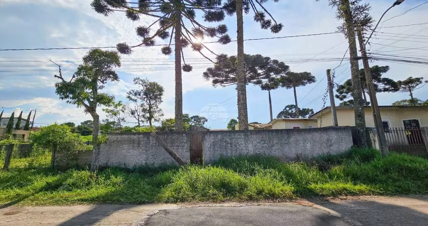 Terreno à venda na Rua Geraldo Felisberto da Silva, São Sebastião, São José dos Pinhais