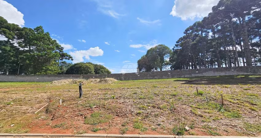 Terreno em condomínio fechado à venda na Rua Manoel Martins, 905, Costeira, São José dos Pinhais
