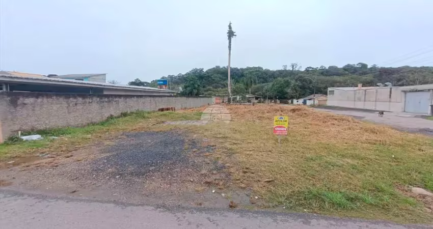 Terreno à venda na Rua Ozório Dulcídio de Andrade, S/N, São Sebastião, São José dos Pinhais