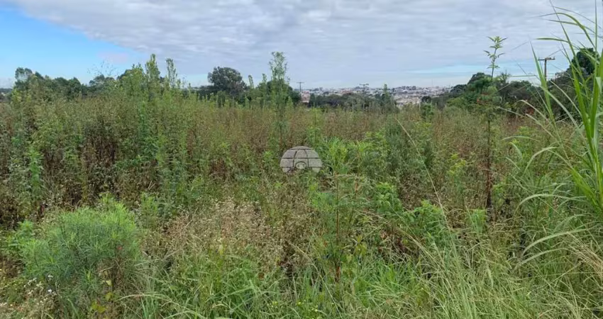 Terreno à venda na Avenida Venezuela, 2576, Eucaliptos, Fazenda Rio Grande