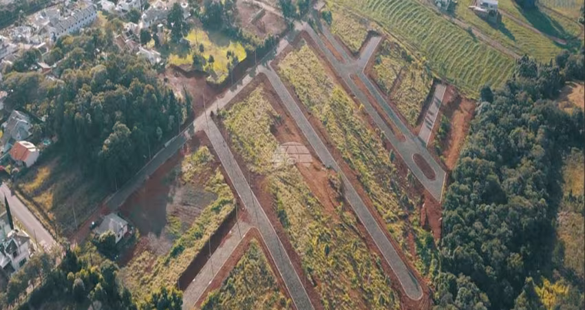 Terreno à venda na Rua Paulino Bos, 00, Vila Isabel, Pato Branco