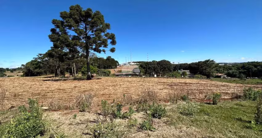 Terreno à venda na Rua João Bernardi Filho, 06, Cadorin, Pato Branco