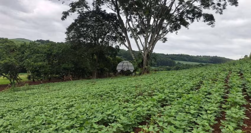 Terreno à venda na ESTRADA LINHA SAO JOSE - AREA RURAL, 00, Zona Rural, Clevelândia