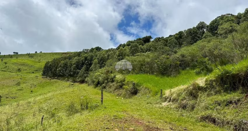 Chácara / sítio à venda na DISTRITO ZONA RURAL, 00, Zona Rural, Pato Branco