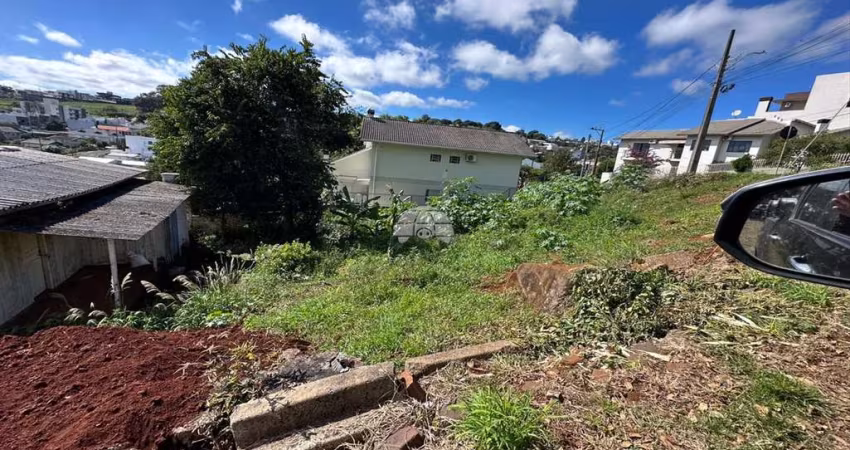 Terreno à venda na Rua Felipe Camarão, 00, Pinheiros, Pato Branco