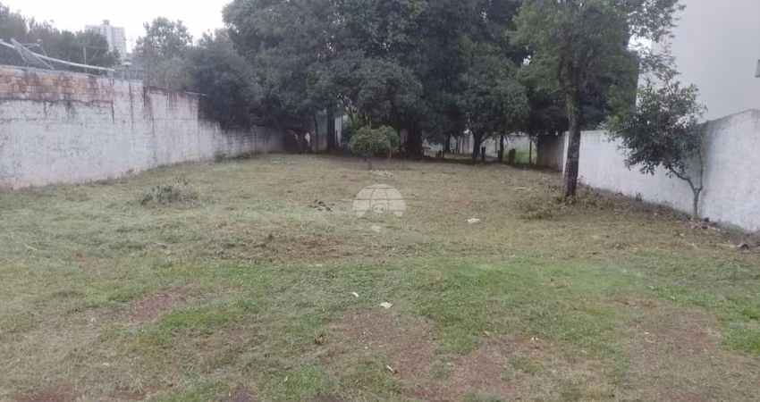Terreno à venda na Rua Olindo Setti, 00, Pinheiros, Pato Branco