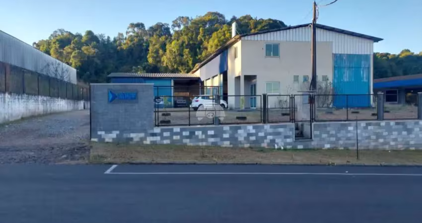 Barracão / Galpão / Depósito à venda na Rua Pioneiro Avelino Ardoino Chioquetta, 388, Planalto, Pato Branco