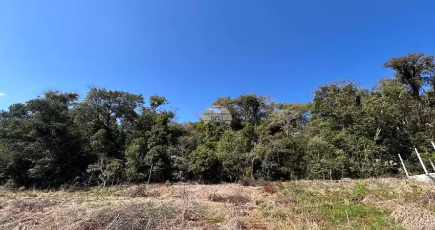 Terreno à venda na RUA REGINA CAGNINI PELOSO, 00, São Francisco, Pato Branco