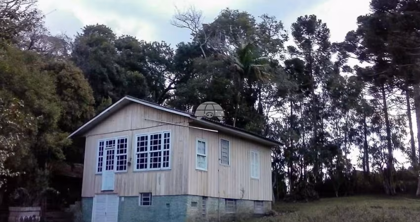 Chácara / sítio à venda na Rua das Araucárias, S/N, Jardim Karla, Pinhais