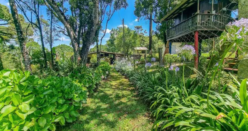 Chácara / sítio com 3 quartos à venda na Rua Faraó Cavalli, 1500, Campestre, Colombo