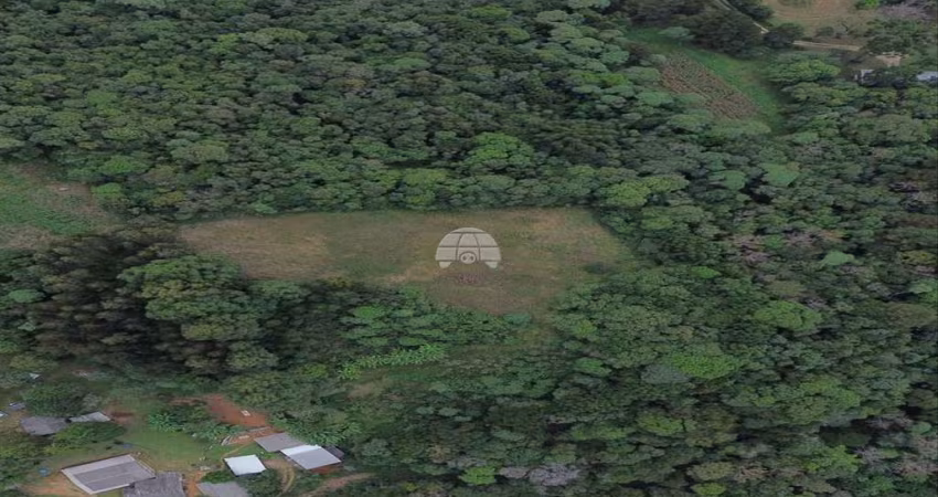 Terreno à venda na RODOVIA CONTORNO NORTE PR-418, 769, Jardim César Augusto, Colombo