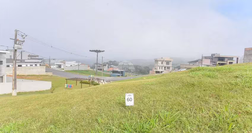Terreno em condomínio fechado à venda na Rua do Quivi, 341, Planta Santa Tereza, Colombo
