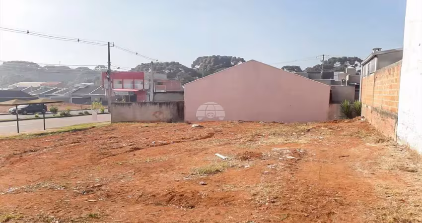 Terreno à venda na Avenida Tomaz Edison de Andrade Vieira, 1034, Eucaliptos, Fazenda Rio Grande