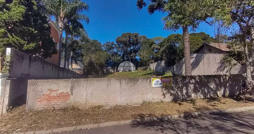Terreno em condomínio fechado à venda na Rua Verdi, 127, São Braz, Curitiba