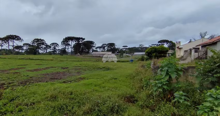 Terreno comercial à venda na Rua Pastor Adolfo Weidmann, 1542, Guarituba, Piraquara