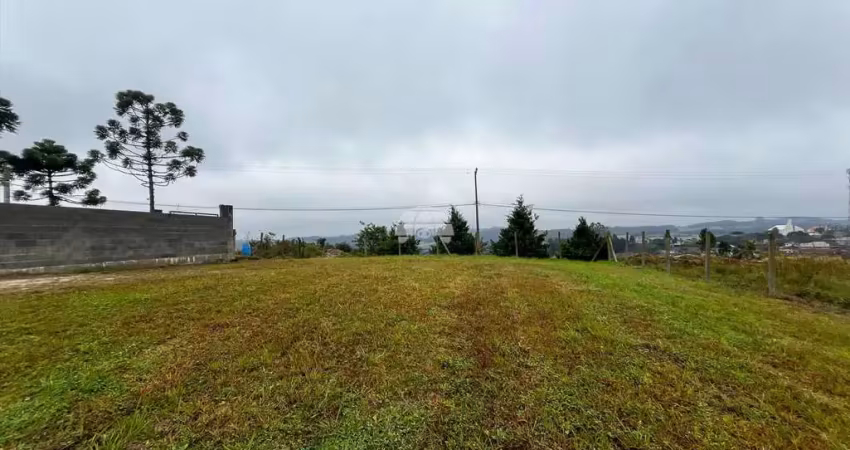 Terreno à venda na RUA ROSA SEDOSKI VALENGA, 332, Centro, Campo Magro