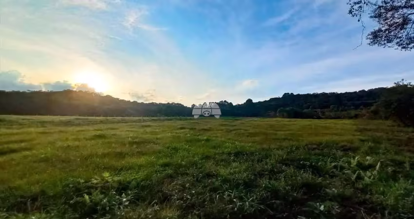 Terreno comercial à venda na Rodovia BR-376, 00, Campo Largo da Roseira, São José dos Pinhais