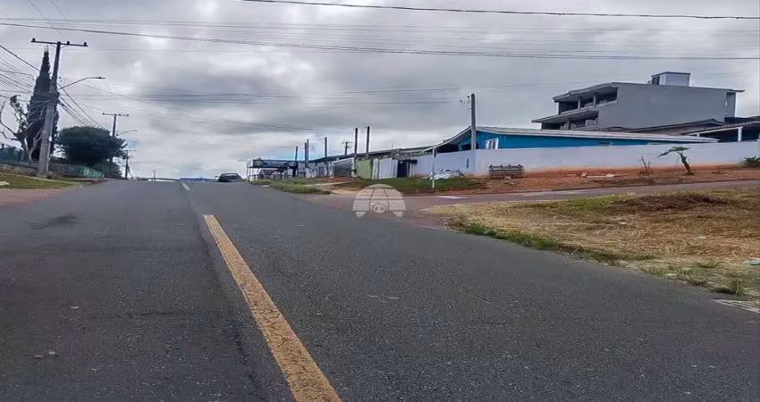 Terreno à venda na Rua Marlene Veiga da Rosa, 493, Miringuava, São José dos Pinhais