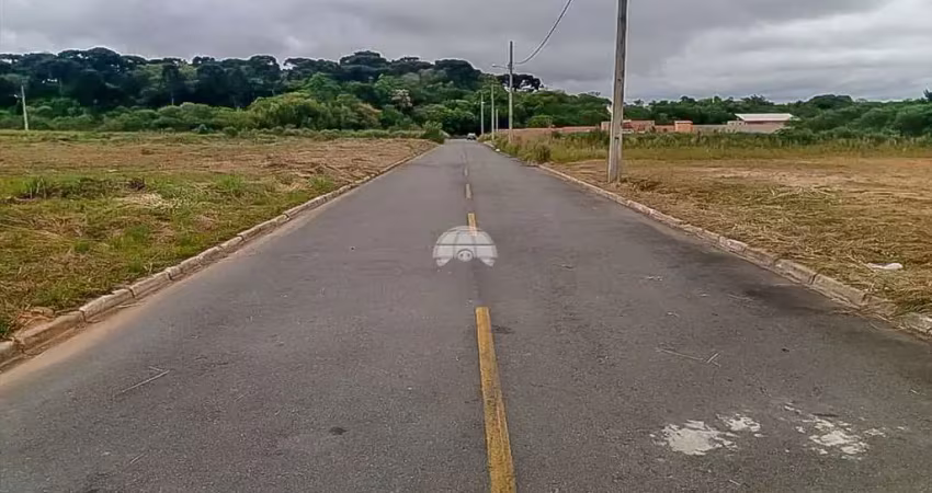 Terreno à venda na Rua Ignez Gazzola Cruz, 001, Rio Pequeno, São José dos Pinhais