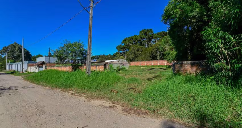 Terreno à venda na Rua Leonardo Gluczkowski, 780, Planta Terezinha, Piraquara