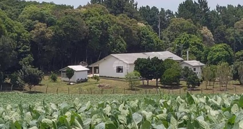 Chácara / sítio com 4 quartos à venda na Rodovia PR-151, 02, Centro, Palmeira