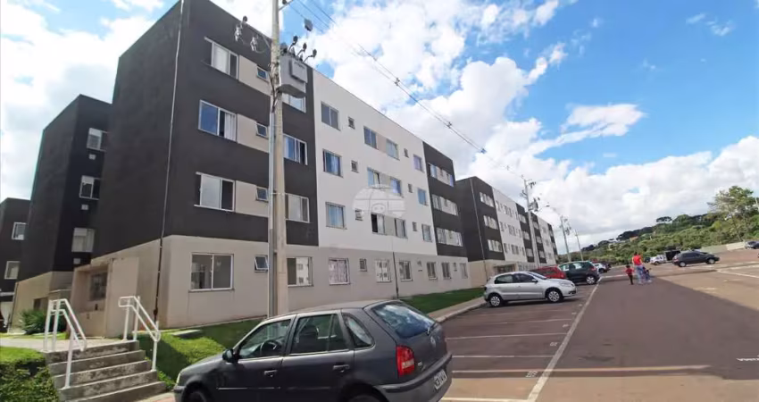 Apartamento com 2 quartos para alugar na Estrada dos Expedicionários, 4799, Bom Jesus, Campo Largo