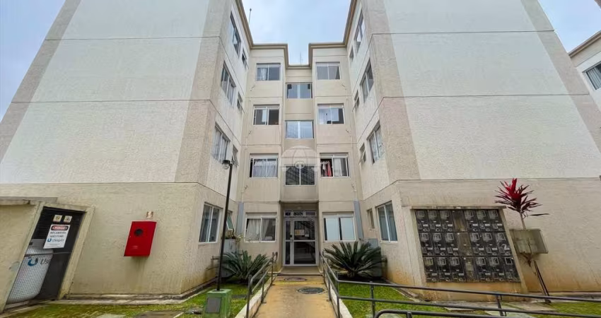 Apartamento com 2 quartos para alugar na Rua Hugo Zen, 78, Colônia Rio Grande, São José dos Pinhais