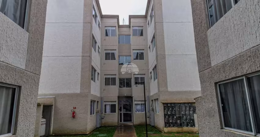 Apartamento com 2 quartos para alugar na Rua Clemente Itsyo Horikoshi, 169, Jardim Cláudia, Pinhais