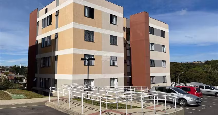 Apartamento com 2 quartos para alugar na Rua Elizio Ferreira do Nascimento, 807, Planta Nossa Senhora do Pilar, Almirante Tamandaré