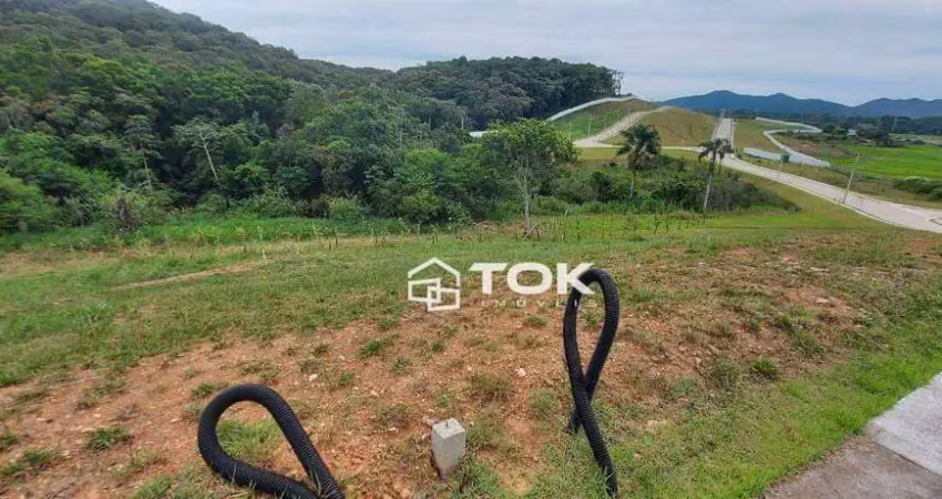 Terreno à venda, 205 m² por r$ 370.000 - rio do meio - itajaí/sc