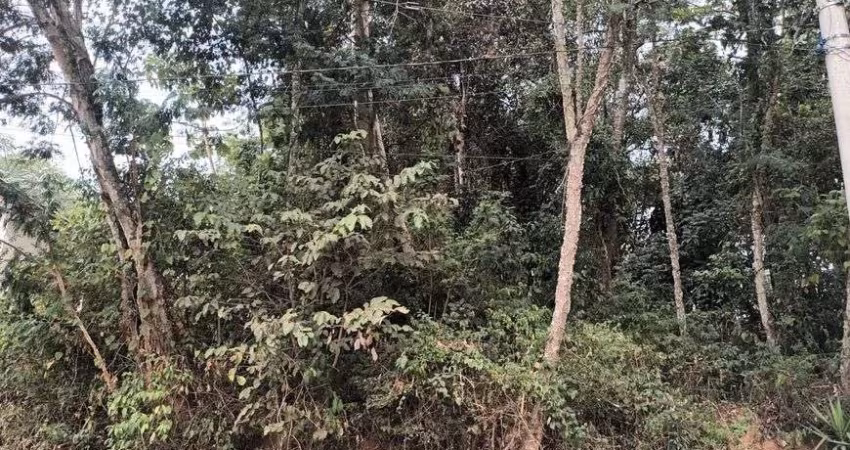Terreno à venda, 985 m² por R$ 320.000,00 - Parque Sinai - Santana de Parnaíba/SP