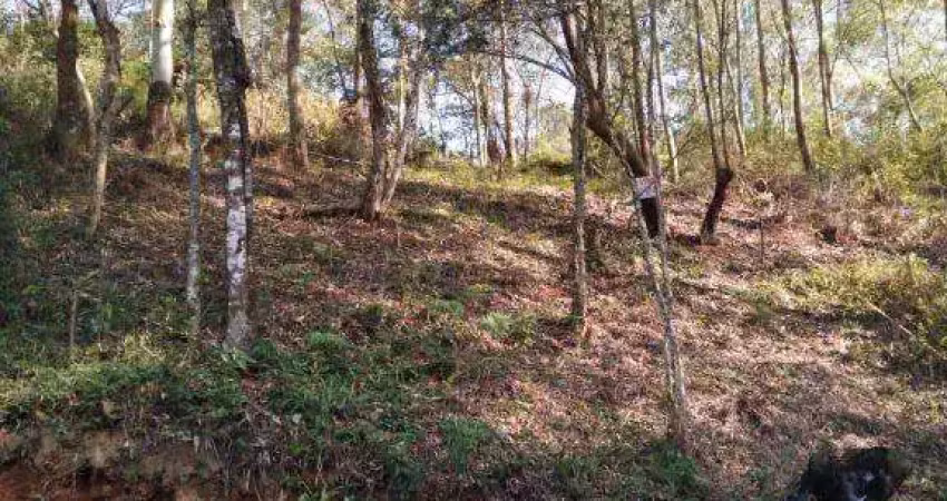 Terreno à venda em santana de parnaíba, parque alvorada