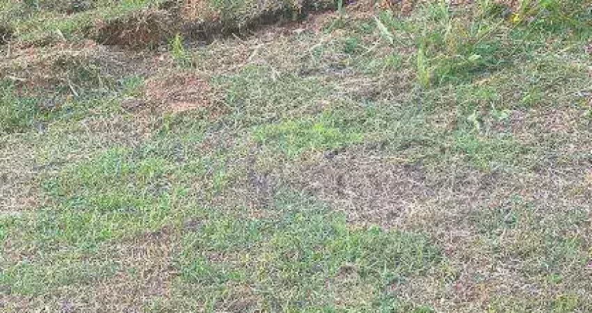 Terreno à venda em cotia, jardim atalaia, residencial club life granja vianna