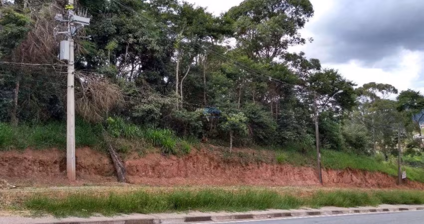 Terreno à venda, 12000 m² por R$ 6.360.000,00 - Votuparim - Santana de Parnaíba/SP
