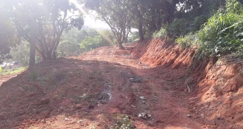 Terreno à venda, 630 m² por R$ 350.000,00 - Jardim Professor Benoá - Santana de Parnaíba/SP