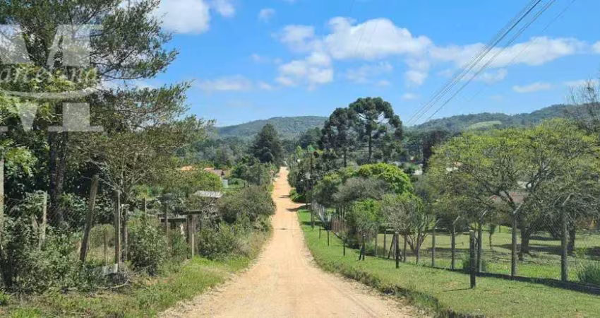 Terreno plano ótima localização próximo rest evíssima lamenha grande almirante tamandaré.
