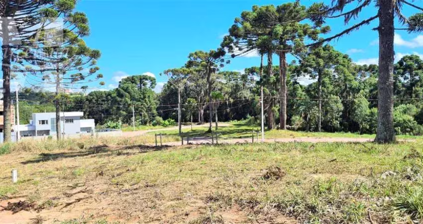 Terreno em quatro barras.perfeito para seu projeto próximo da natureza área de lazer bosque ecopark