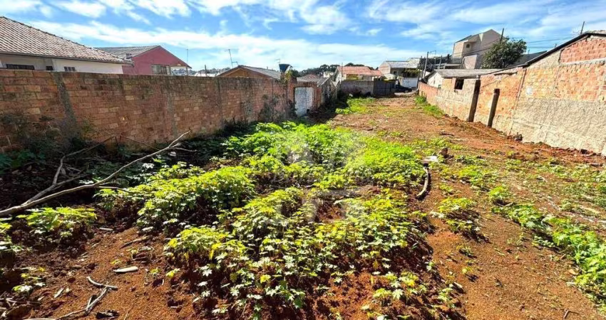 TERRENO PLANO, LIMPO, REGIÃO DE PRÉDIOS, BAIRRO IGUAÇU - FAZENDA RIO GRANDE