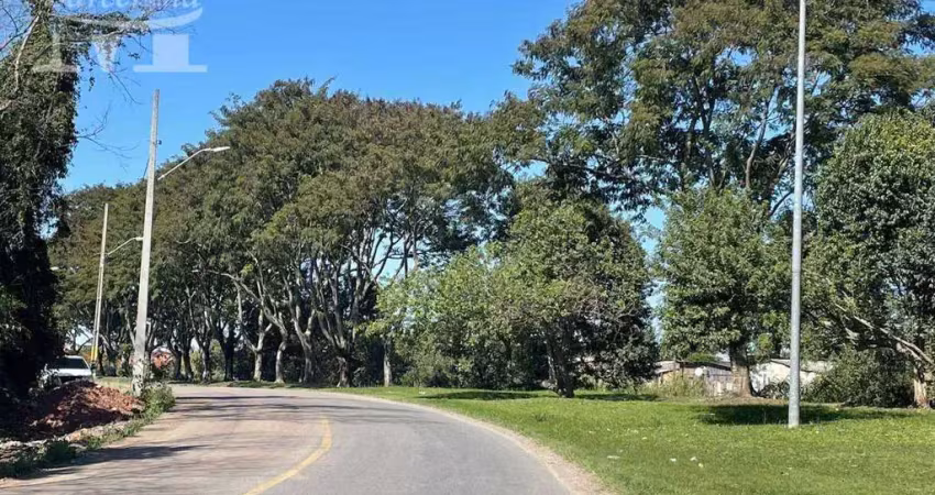Terreno boqueirão/uberaba com alvará para construir 3 sobrados.