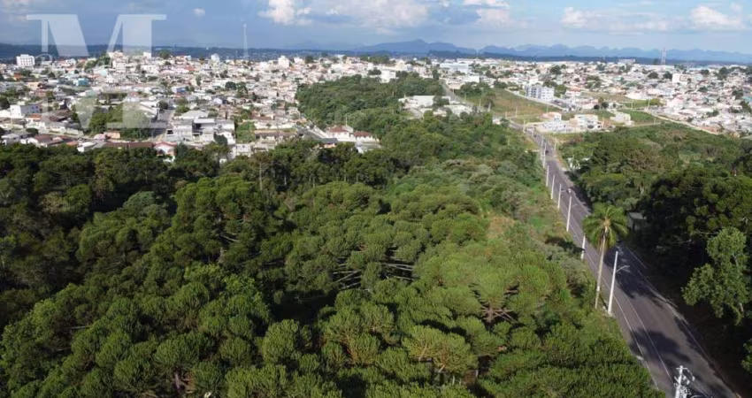 TERRENO PERFEITO PARA CONDOMÍNIO DE APTOS MINHA CASA MINHA VIDA.  EXCELENTE LOCALIZAÇÃO DO BAIRRO SÃO GABRIEL EM COLOMBO.