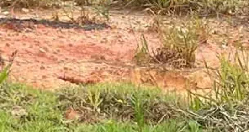Terreno à venda na Rua Doutor Ladislau Reti, Parque Alexandre, Cotia