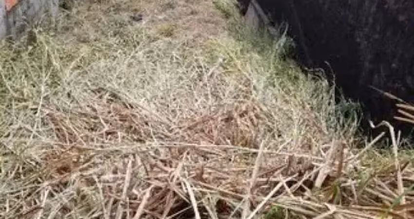 Terreno à venda na Rua Nogam, Jardim Leonor, Cotia