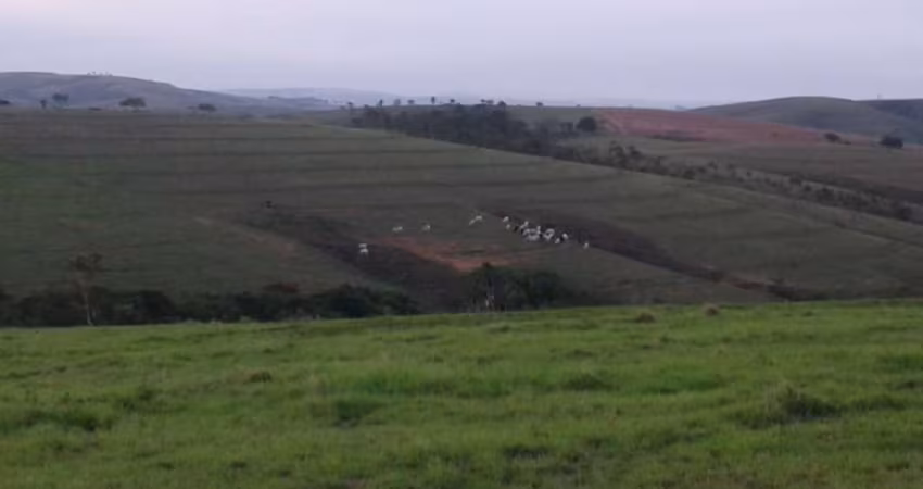 Fazenda com 3 salas à venda na Zona Rural, Tapira 