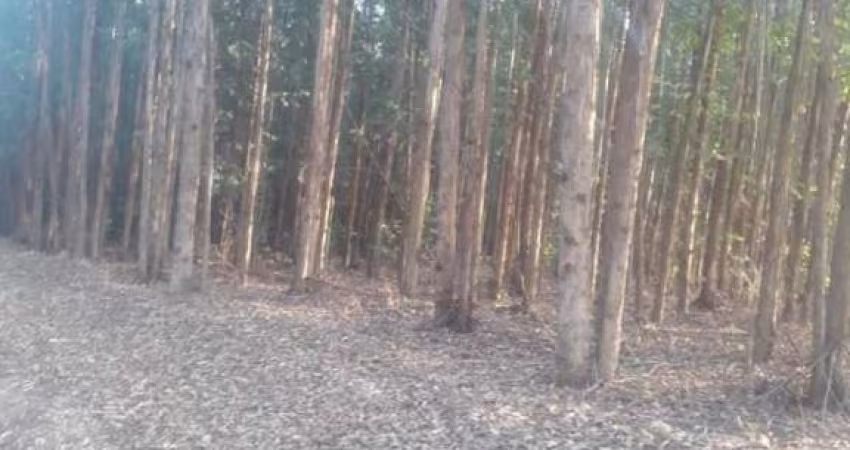 Terreno à venda no Tanquã, São Pedro 