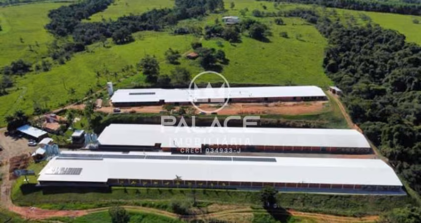 Fazenda à venda na Zona Rural, Conchas 